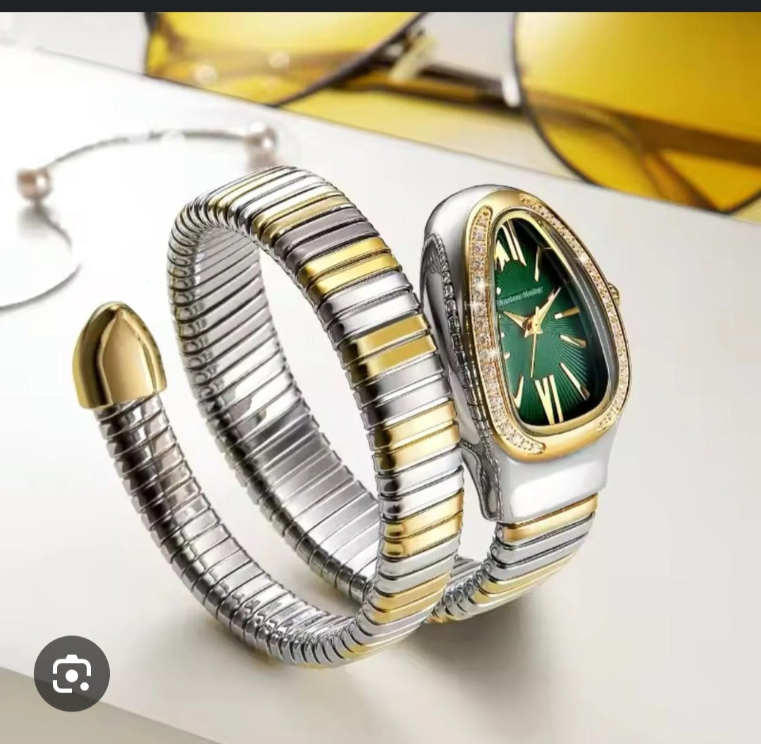 Elegant snake watch bracelet